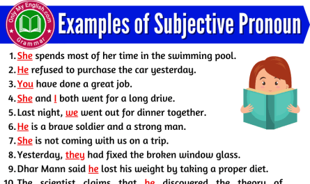 examples of subjective pronoun in sentences