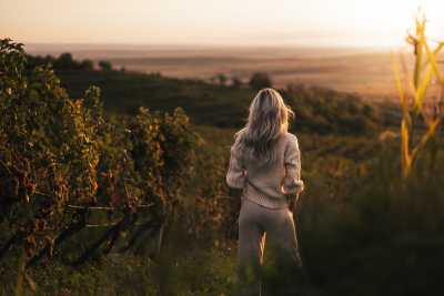 Woman Standing in a Vineyard and Looking Over The Vineyard Scenery Free Photo