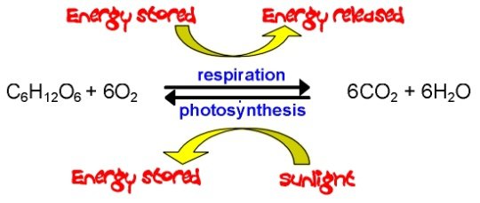 What S The Balanced Equation For