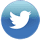 twitter button