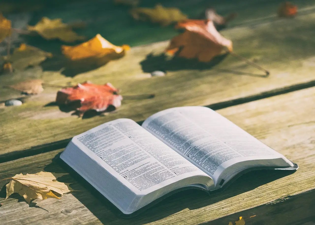 Open Bible laying table outside, fallen leaves around