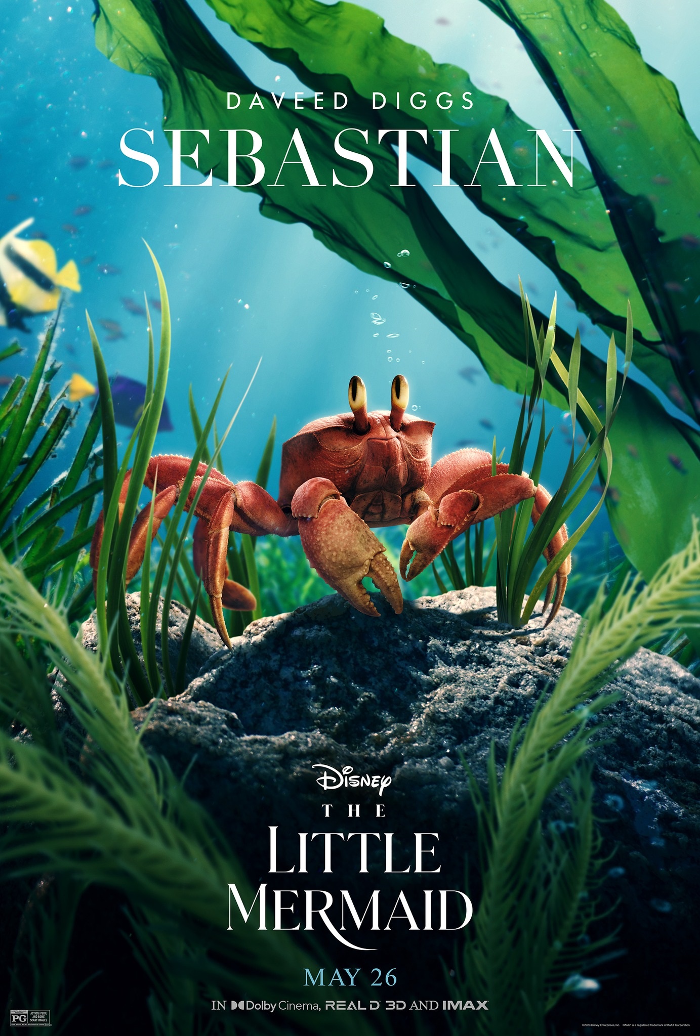 The.Little.Mermaid.2023-Character.Posters-Sebastian | Screen-Connections