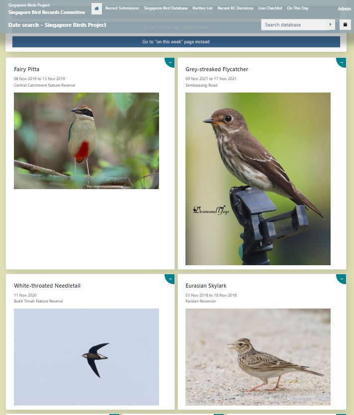 Singapore Bird Database is 1 year old