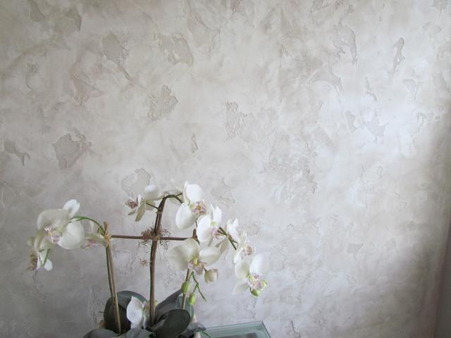 Intonachino Venetian Plaster Walls In A