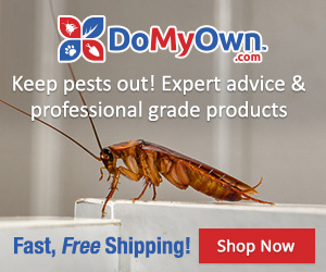 DIY Pest Control