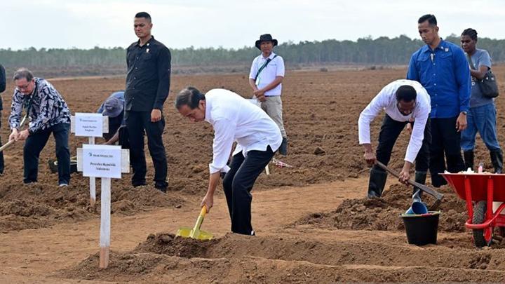 Jokowi Government’s Merauke Sugarcane Project, Papua Forest Destroyed