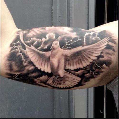 Dove Tattoos Design On Bicep