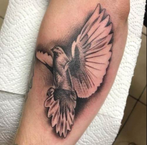 Dove Bird Tattoo