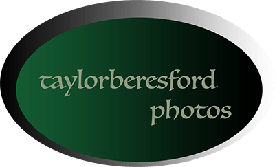 taylorberesford photos