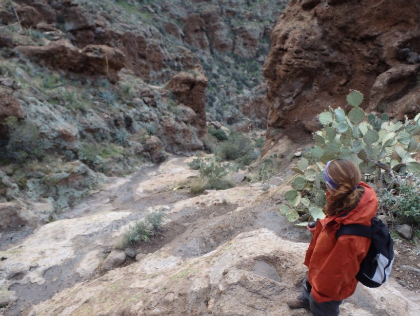 Contemplating the wet falls.