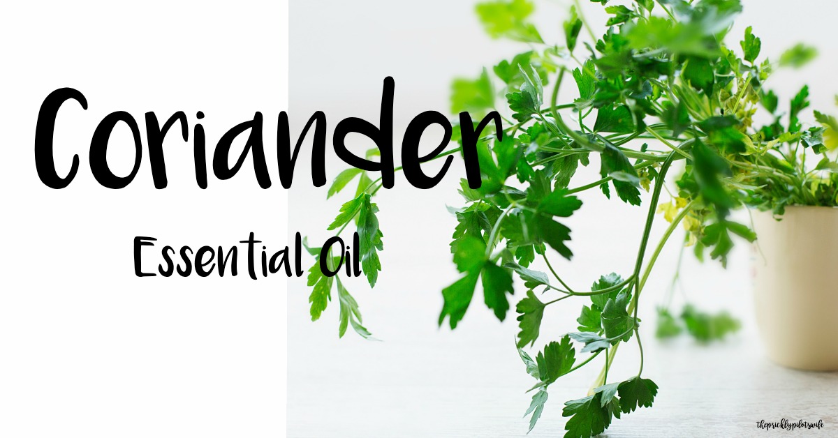 doterra coriander essential oil