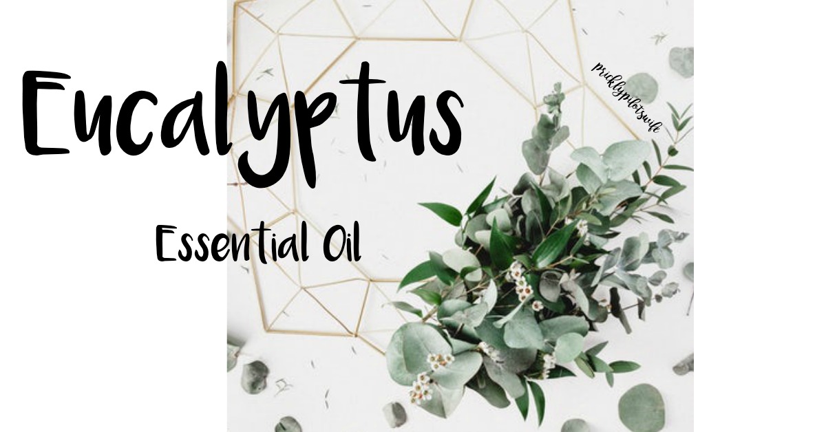 doterra eucalyptus essential oil