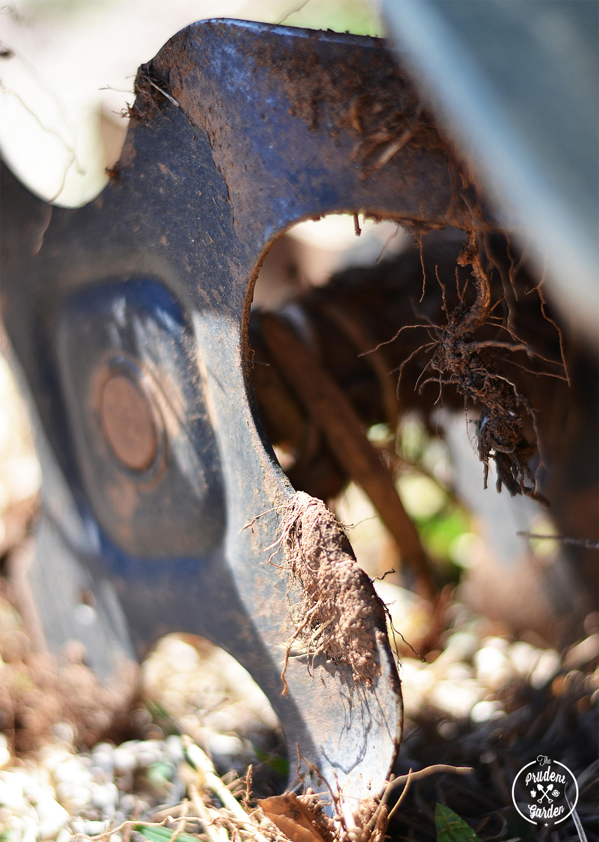 Tips for Starting a New Vegetable Garden