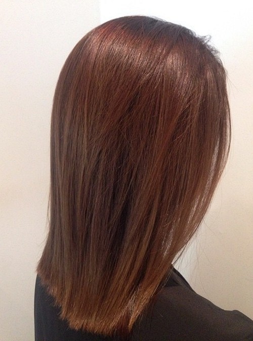 medium length straight chestnut hair