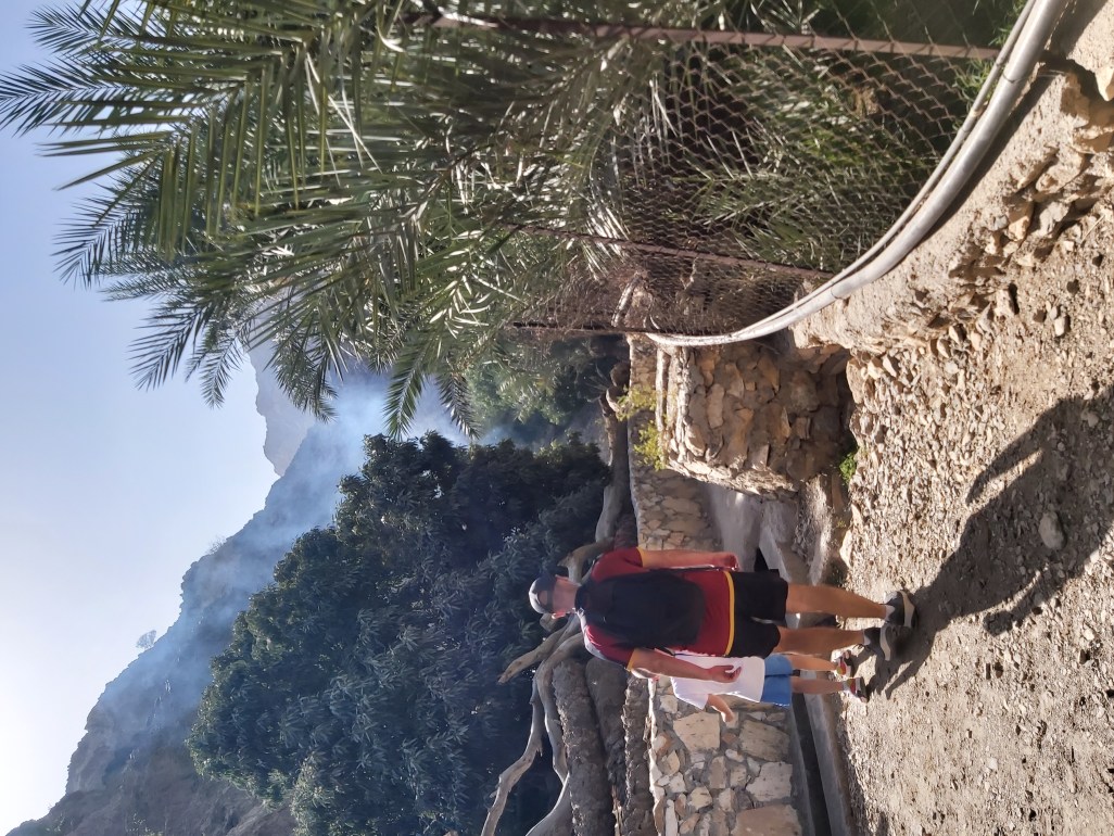 Dad and son walking on path with palm trees and mountain on family hike in UAE.