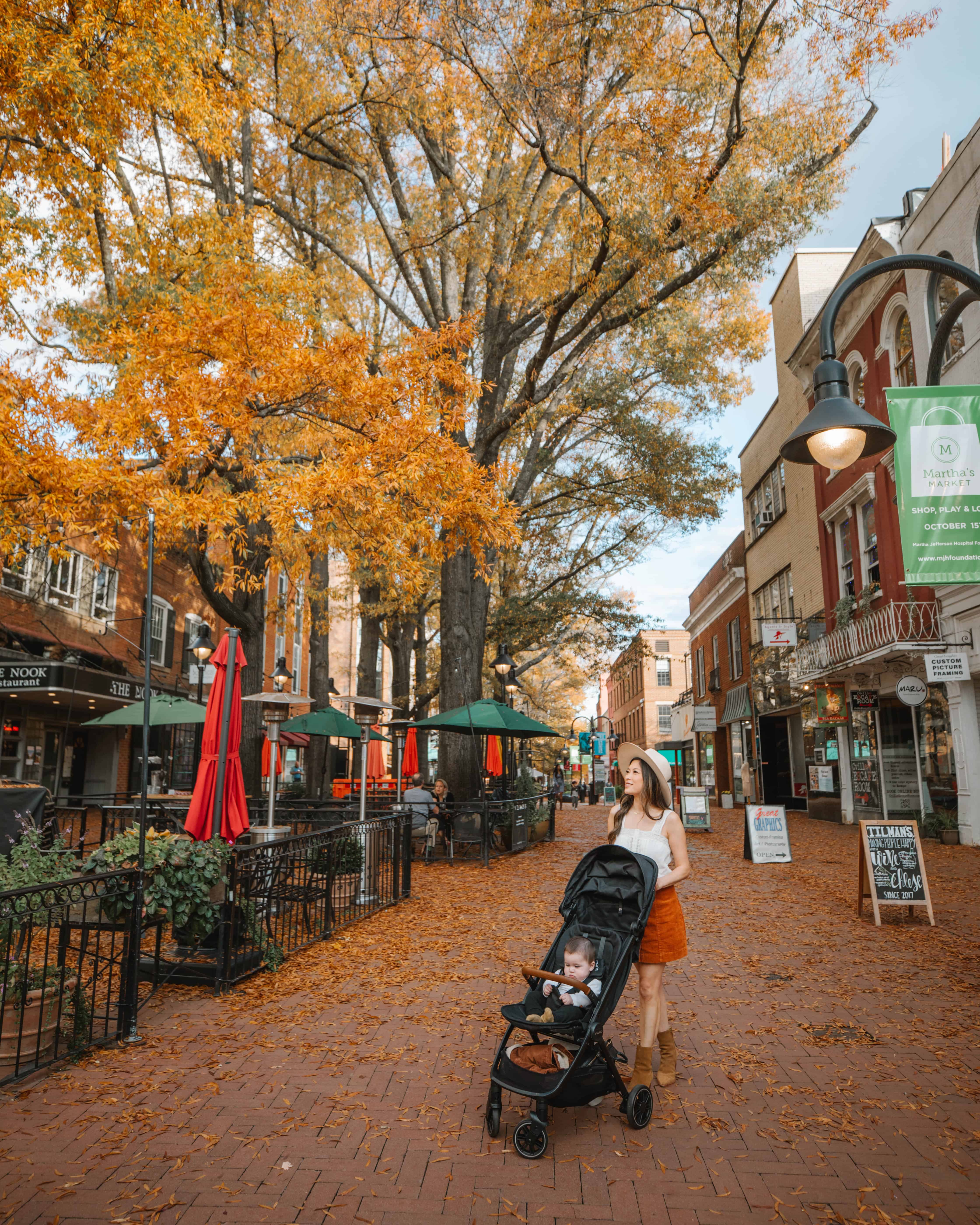 Charlottesville Downtown