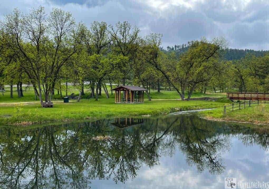 Reflections in the Lake @ Custer State Park