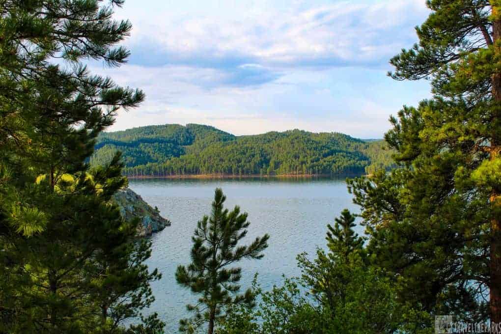 Pactola Reservoir through the trees