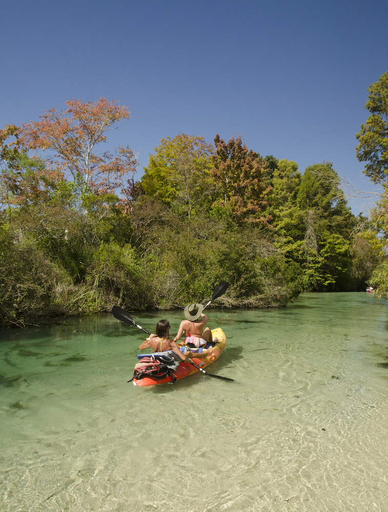 Kayakers on the Weeki Wachee river