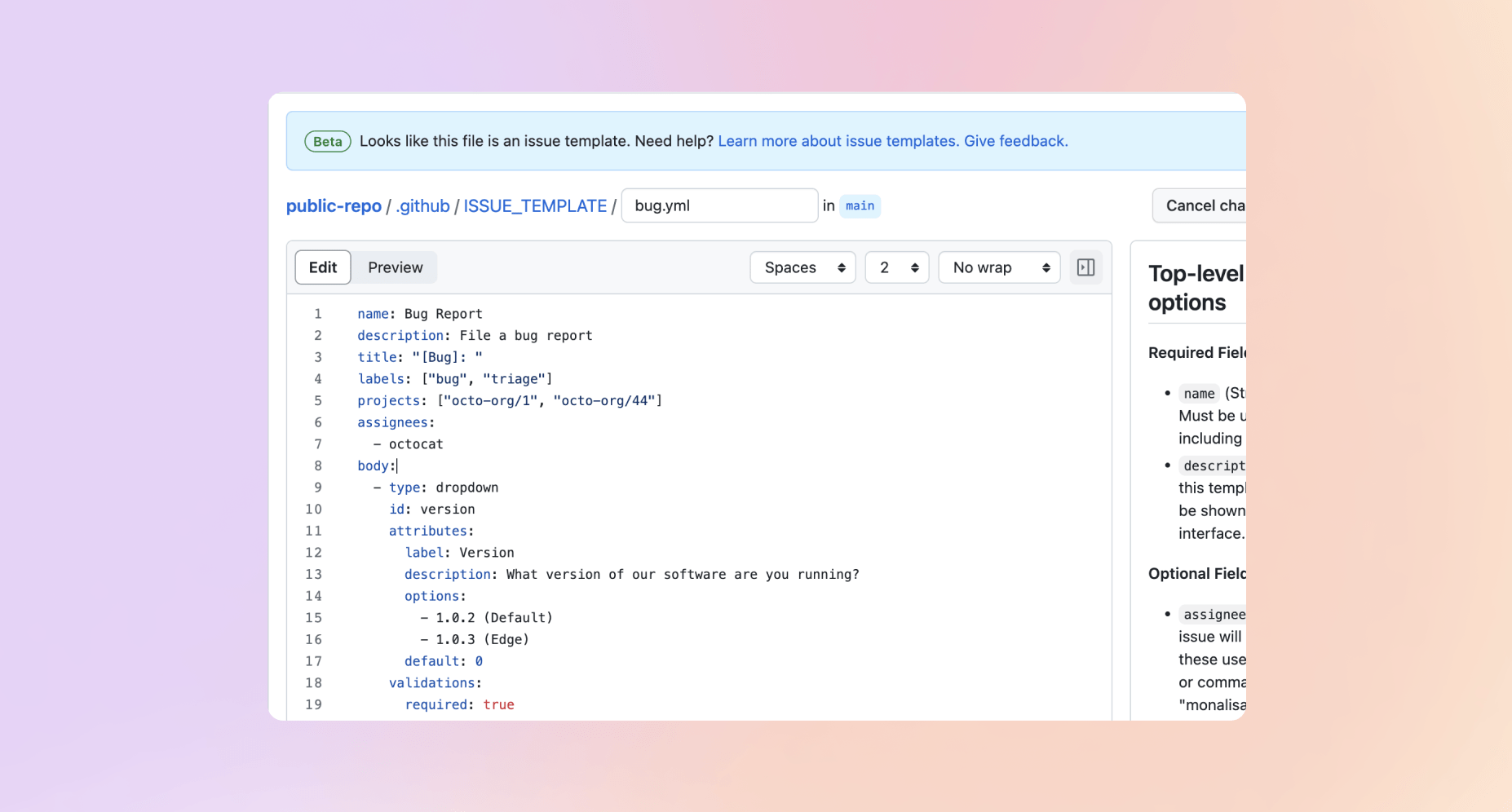 issue form yaml syntax