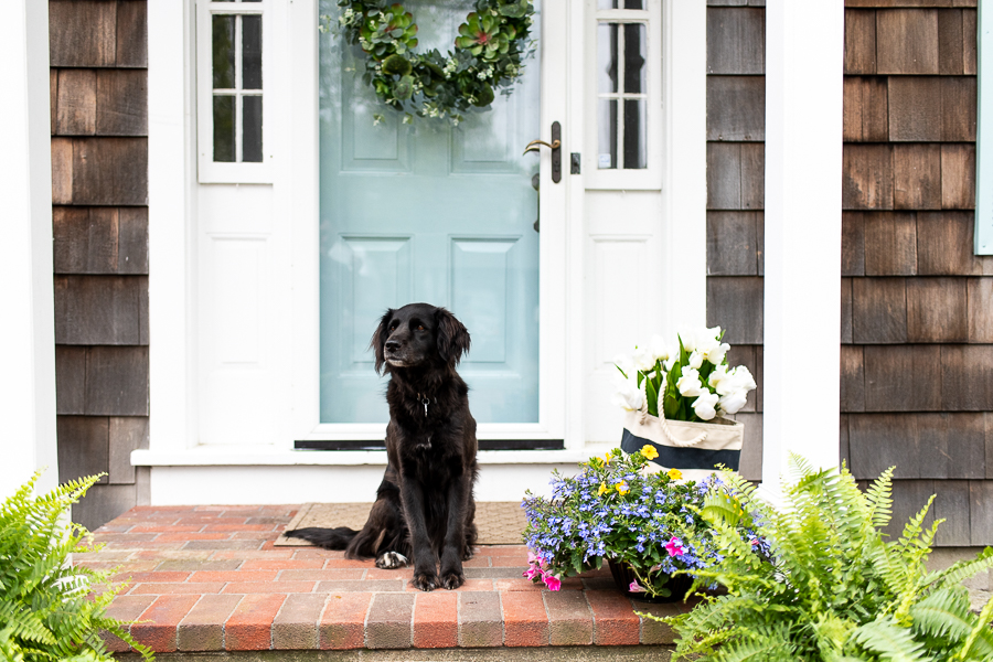 Summer Entry and Easy Ways to Add Curb Appeal