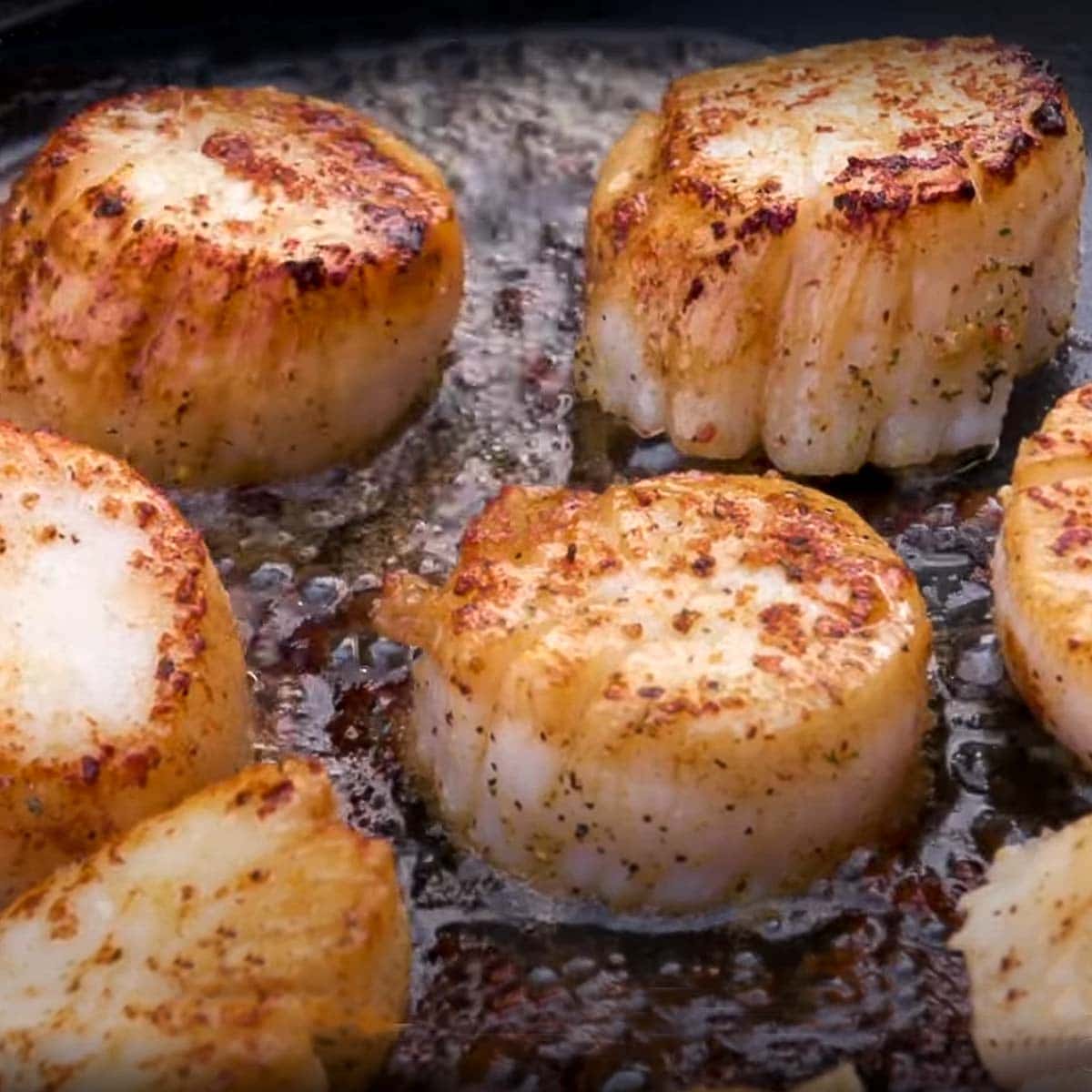 Grilled Scallops | Golden's Cast Iron Cooker | Heath Riles