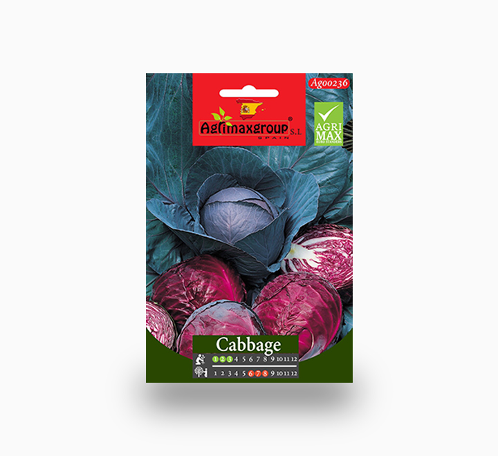 Red Cabbage Agrimax seeds