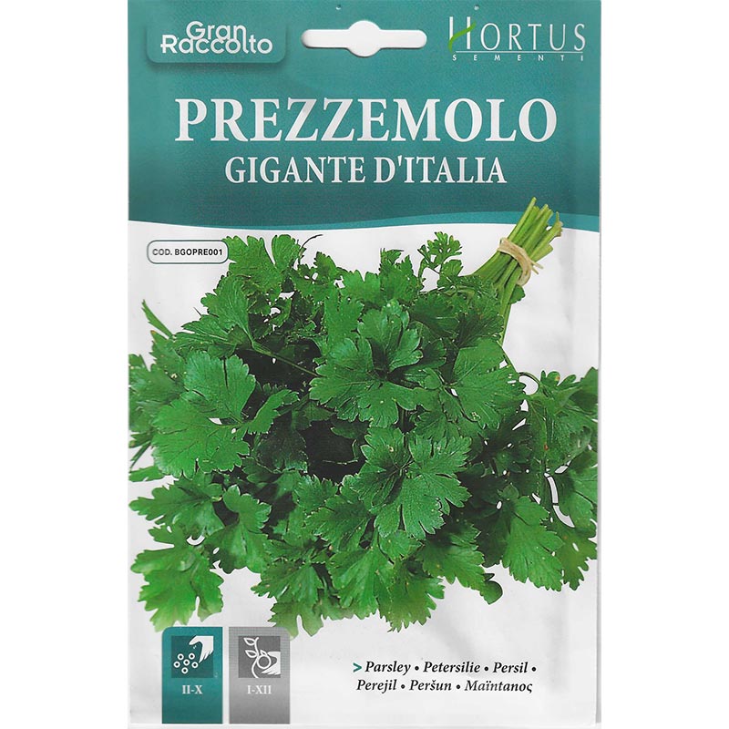 Parsley "Prezzemolo Gigante D’ Italia" Seeds by Hortus Green Souq