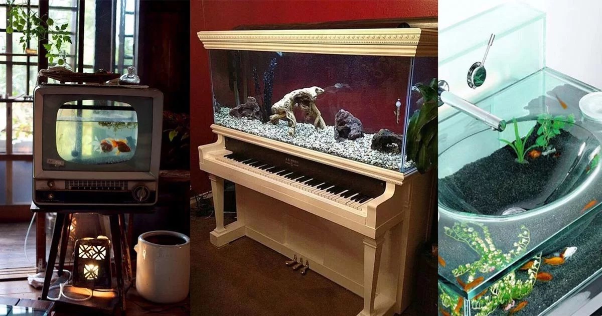 11 Unbelievable Home Aquarium Setup That Will Make Your Jaw Drop