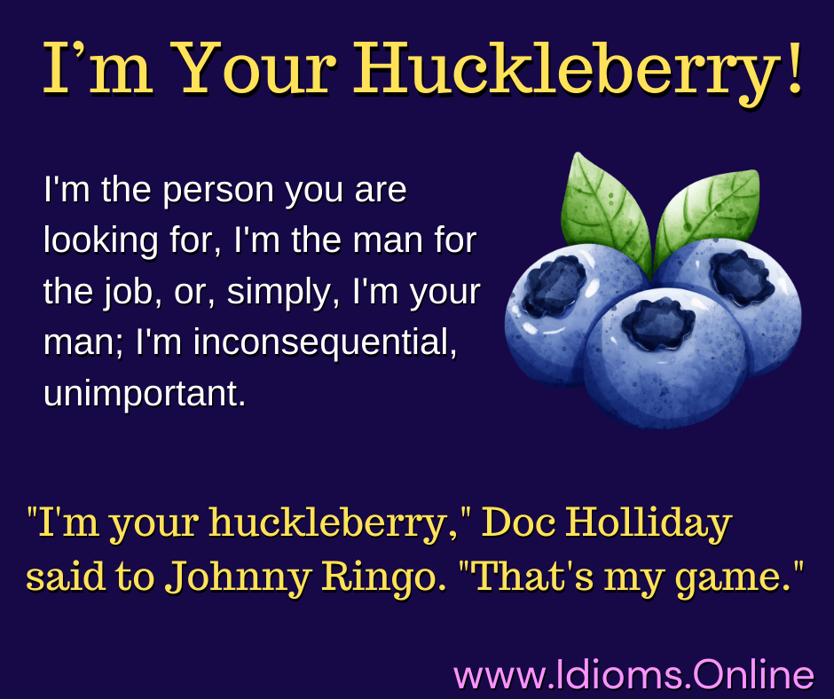 I'm your huckleberry idiom meaning