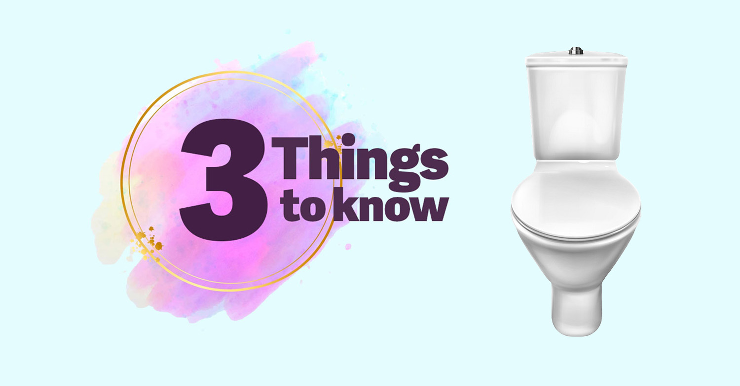 Three Things You Need to Know: Crapper Day