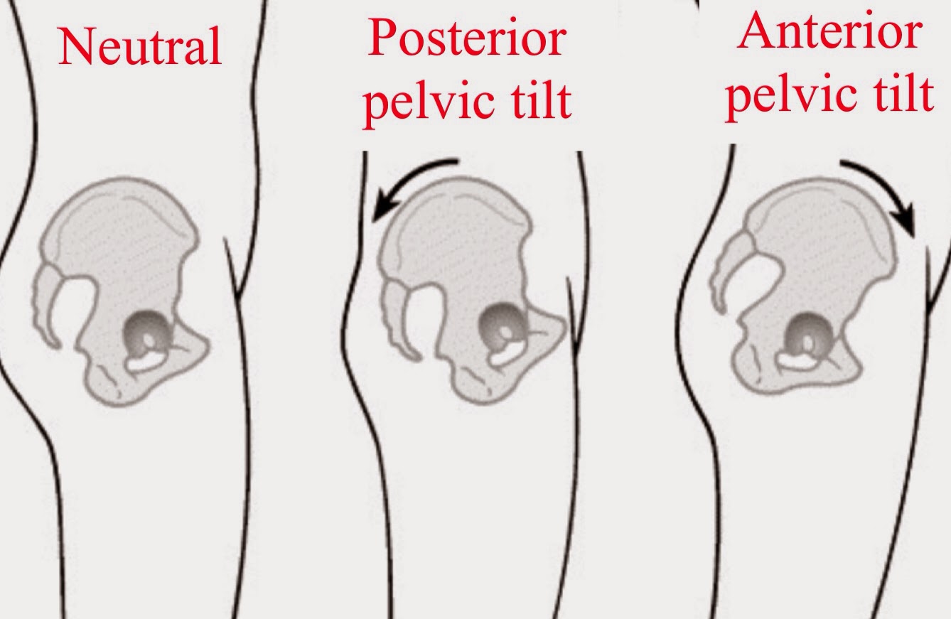 çekirdek makine pedal posterior pelvik tilt nedir - ibibleacademy.org