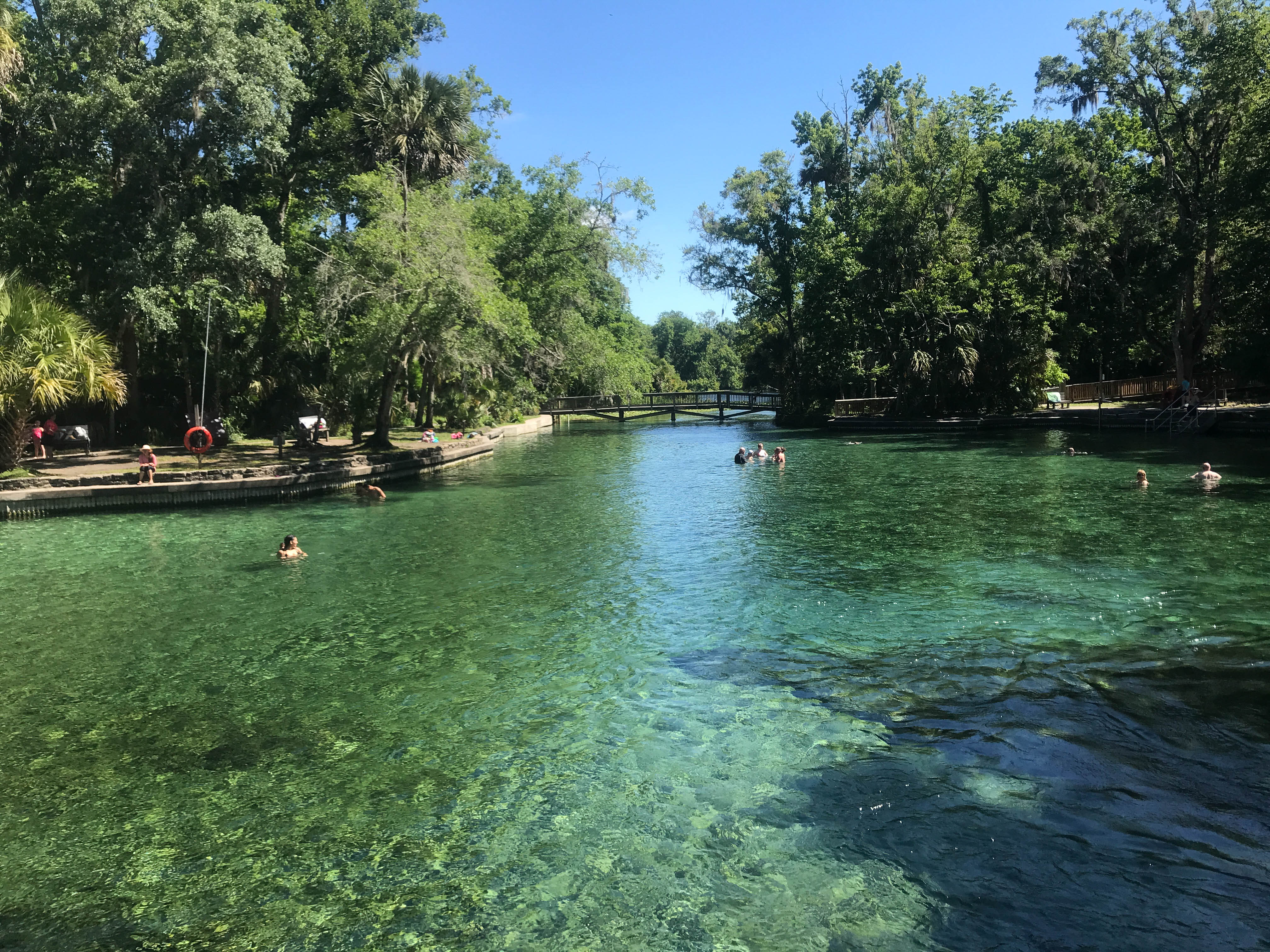 An Oasis near Orlando – Wekiwa Springs State Park