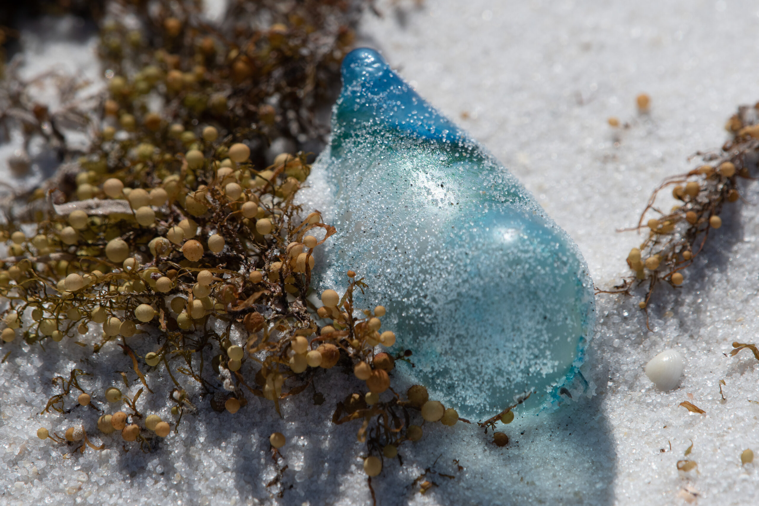 Florida’s Gulf Islands National Seashore