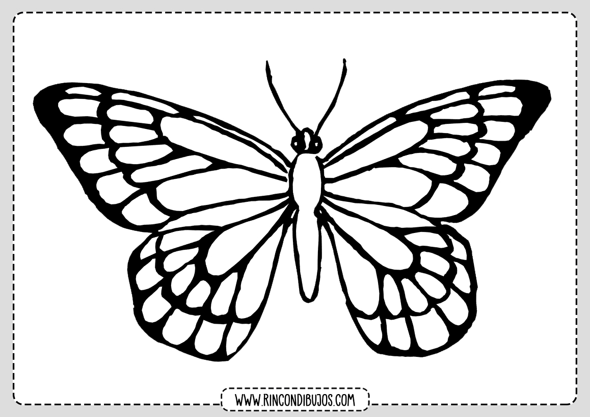 Mariposa para Colorear Dibujo Rincon Dibujos