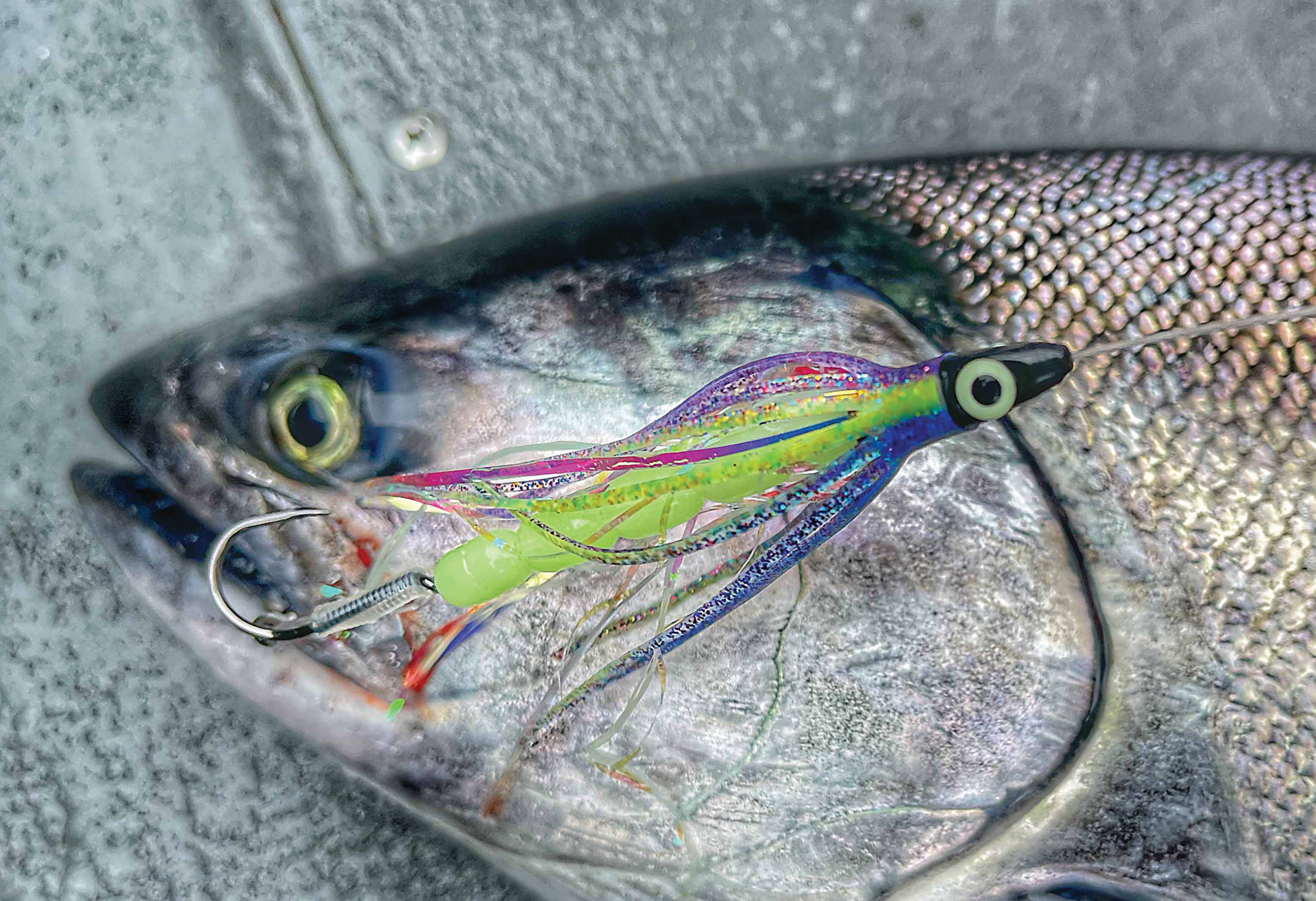 If it weren't for an errant hoochie order at Silver Horde Tackle, the Ace Hi Fly might not be in production today. Luckily it is, however, and it's become one of the top-producing salmon lures on the West Coast.