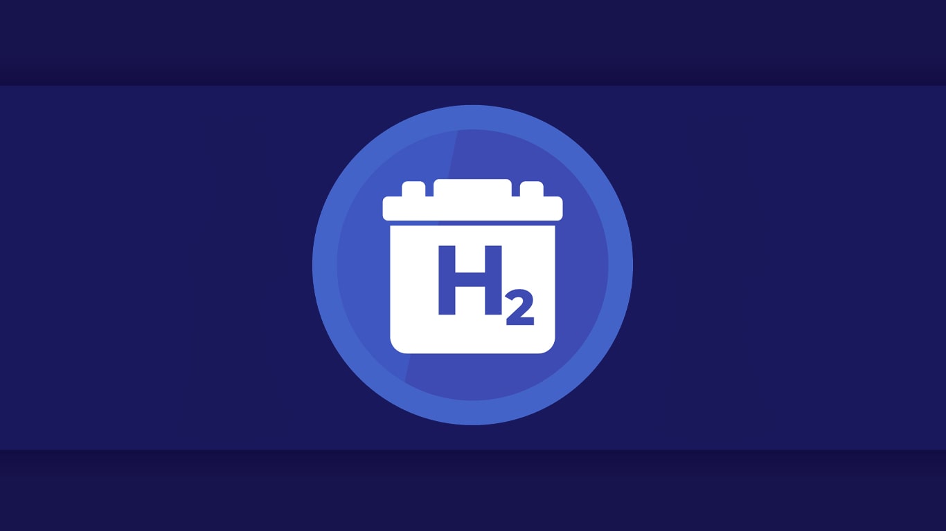 Hydrogen Fuel Cell