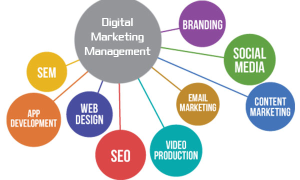 Digital Marketing Management - Digital Marketing Management Requirements