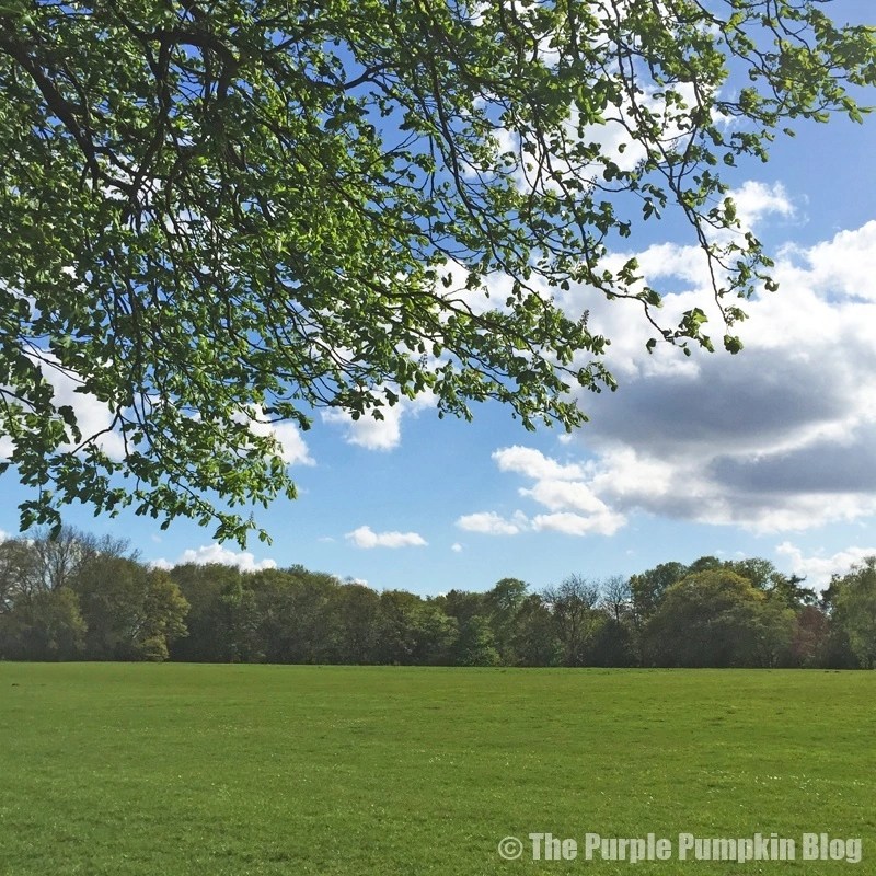 Bedfords Park Noak Hill Romford Essex » The Purple Pumpkin Blog