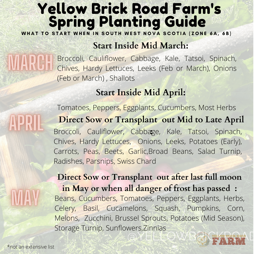 Yellow Brick Road Farm Spring Planting Guide Zone 6A/6B – Yellow Brick ...