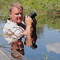 Ohio Birds and Biodiversity