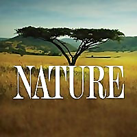 PBS Nature Blog