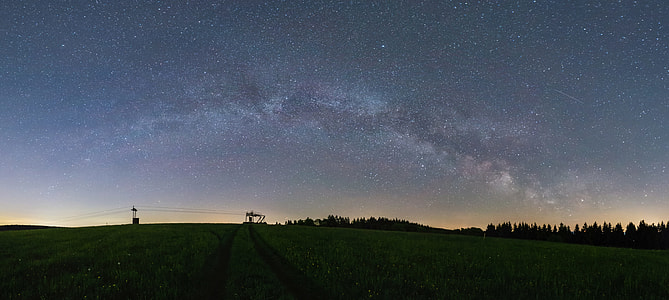 green fields during dawn