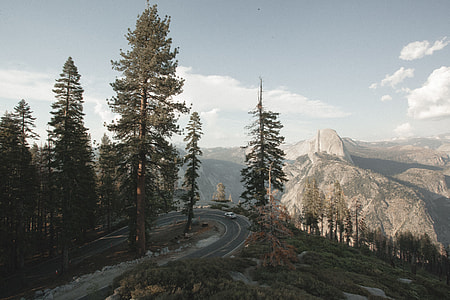 green pine trees  spiral road