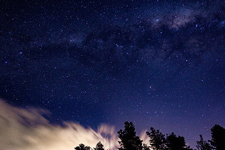 trees under starry skies