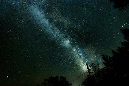 silhouette of trees under starry night