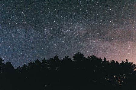 black silhouette of trees under cosmos sky