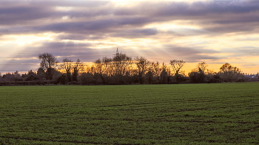 Scenic View of the Field