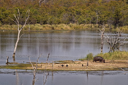 Scenic View of the River