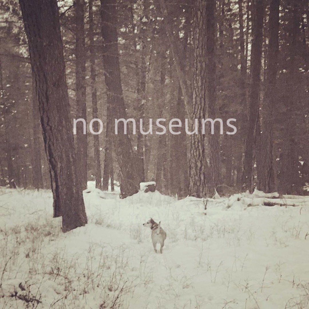 No Museums’s avatar